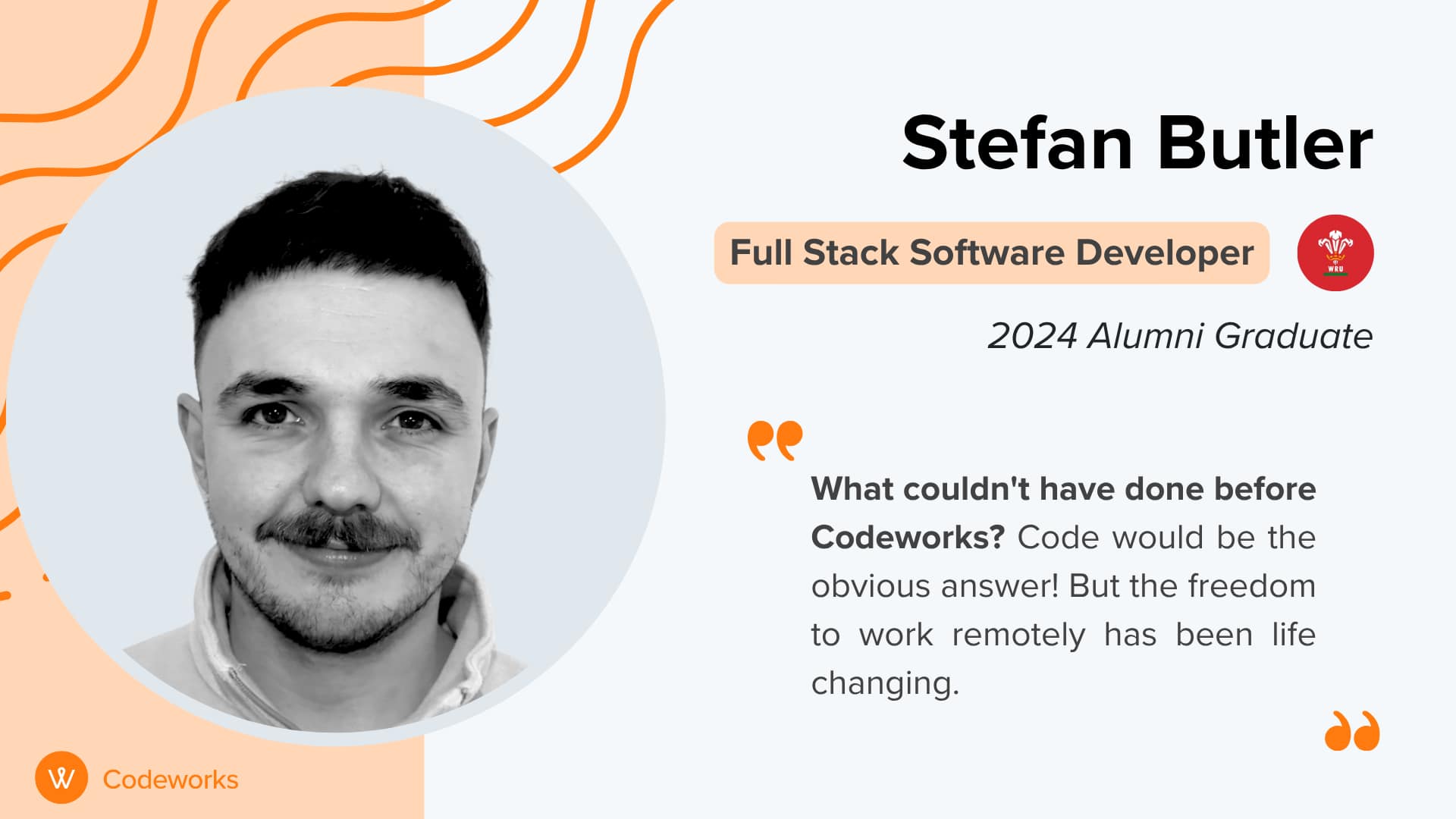 how to get a remote software developer job